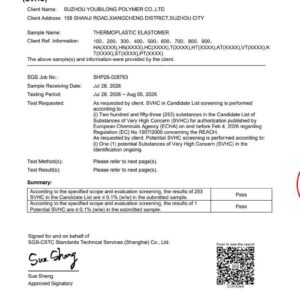 SGS Test Report2