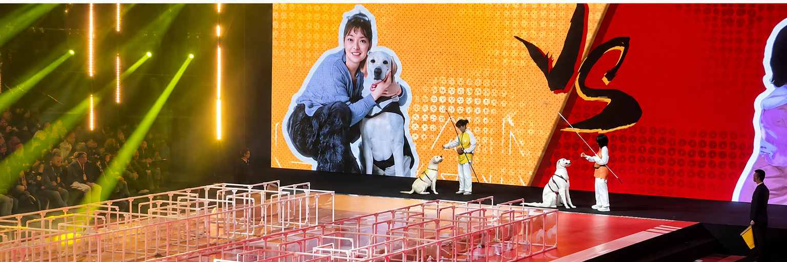 plastic pet playpen used on a pet variety show